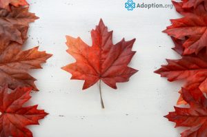 How Does Adopting a Child in Canada Work?