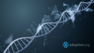 How Does DNA Help with an Adoption Search?