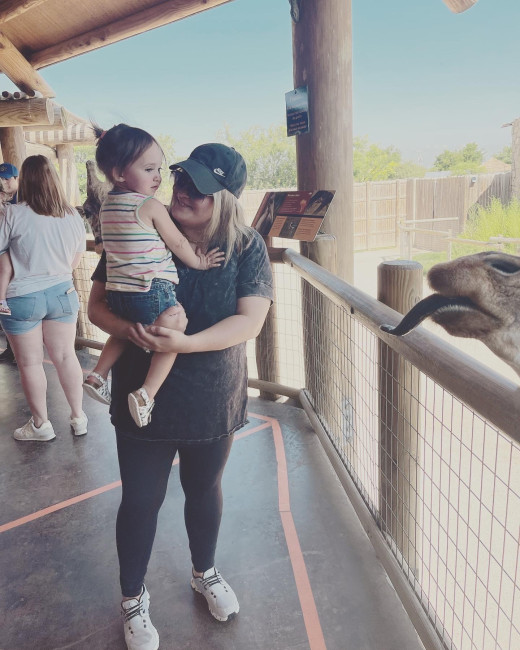 Feeding the Giraffes. 