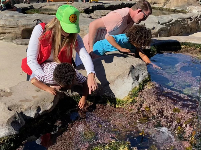 We have lots of favorite things to do when we visit California, but a MUST is visiting the local aquarium. The outdoor portion is the boys' favorite part, as you get to reach in and touch things! So fun!