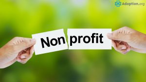 What Are Nonprofit and For-Profit Adoption Agencies?