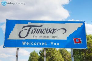 What Are the Adoption Laws in Tennessee?