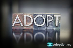 What Are the Top Adoption Rules to Know About?