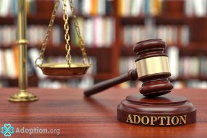 What Do Adoption Lawyers Do?