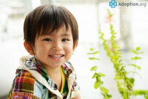 What Is Special Adoption in Japan?