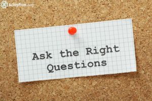 What Questions Must I Ask A Social Worker Before Placement?